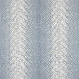 Livingstone Blue — Colefax & Fowler tyg