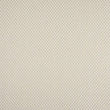 Radnor Pale Aqua — Colefax & Fowler tyg