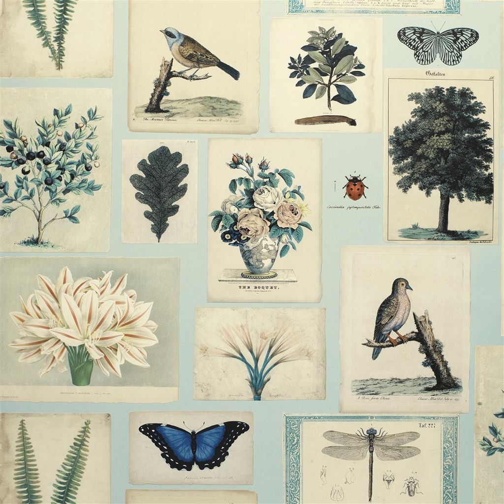 Flora And Fauna Cloud Blue — Designers Guild tapet
