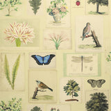 Flora And Fauna Tapet — Designers Guild i miljö