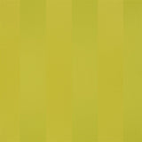 Foyle Lime — Designers Guild tyg