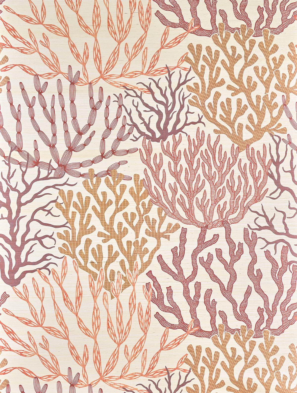 Acropora Corail — Pierre Frey behang