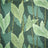 Jungle
