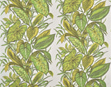 Nassau JUNGLE — Pierre Frey wallpaper