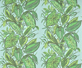 Nassau LAGON — Pierre Frey wallpaper
