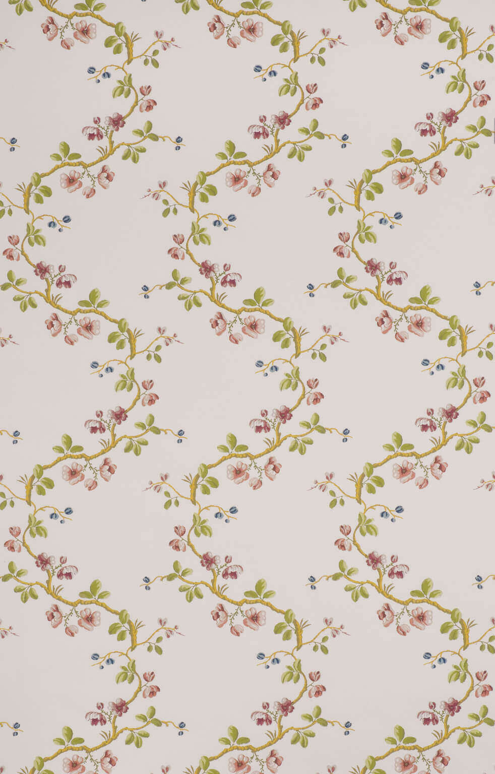 Wallpaper Sans Papillons Beige — Pierre Frey wallpaper