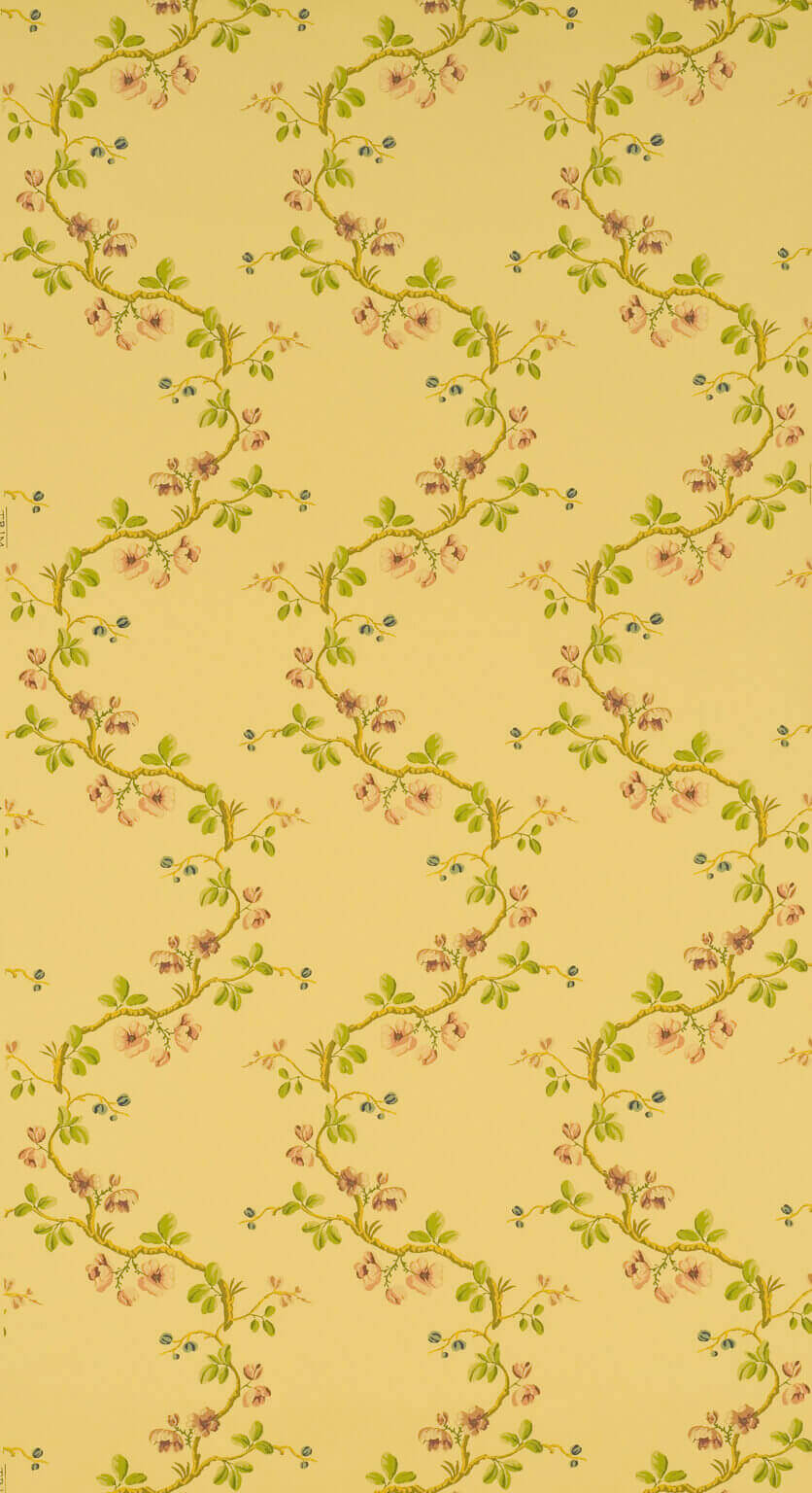Wallpaper Sans Papillons Jaune — Pierre Frey wallpaper