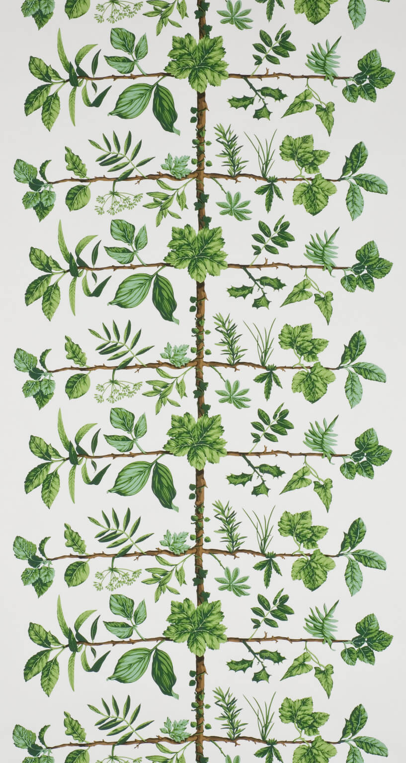 Wallpaper Espalier Prairie — Pierre Frey tapet