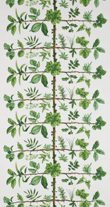 Wallpaper Espalier Prairie — Pierre Frey tapet