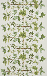 Wallpaper Espalier Foin — Pierre Frey tapet