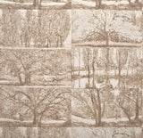 Arbres et Sous Bois BOULEAU — Pierre Frey -tapetti