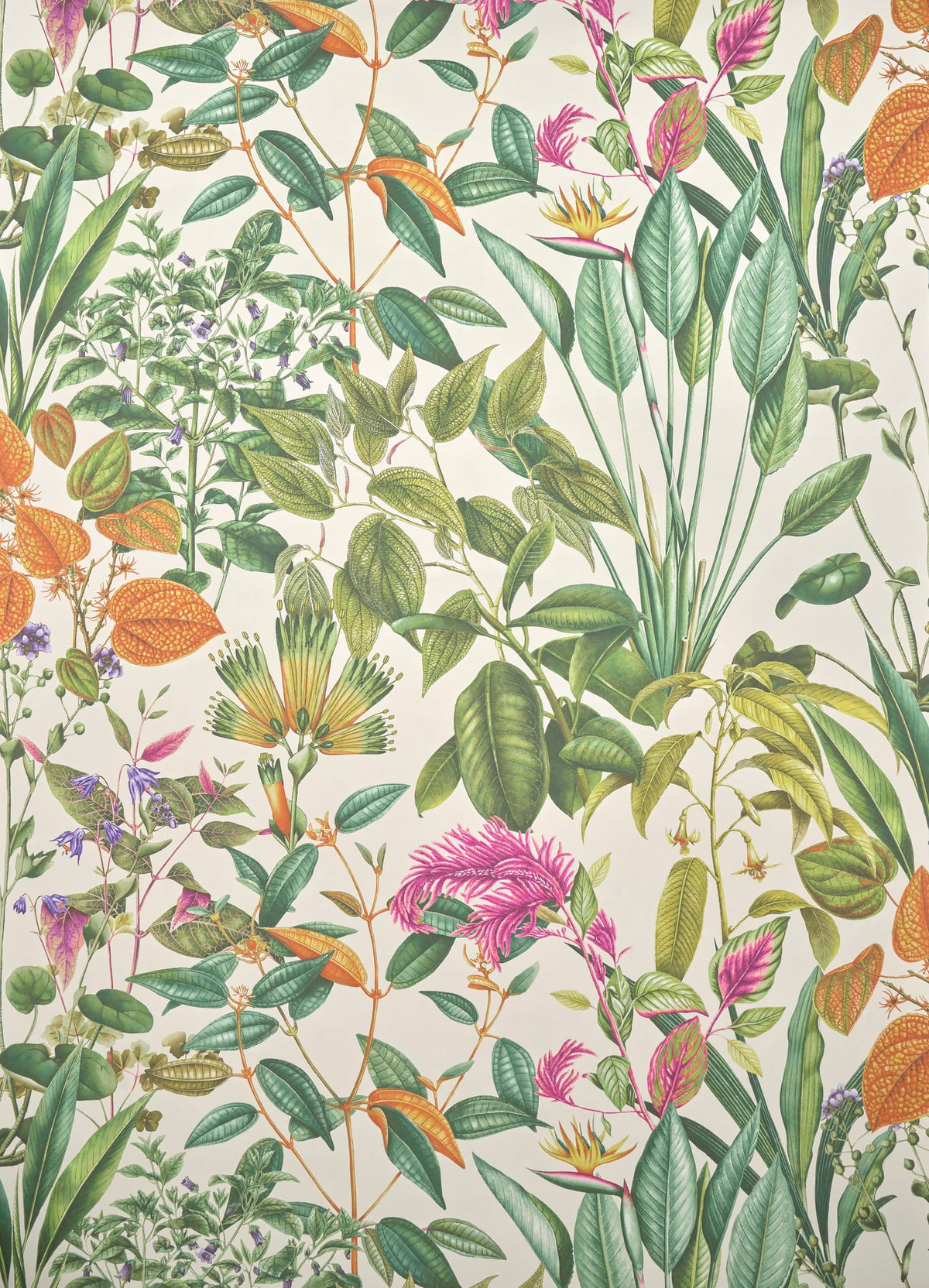 Fantaisie Tropicale VEGETAL — Pierre Frey wallpaper