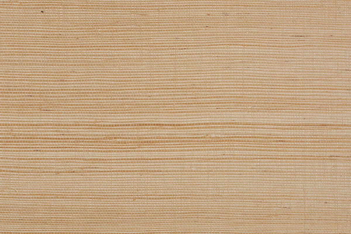 Colomba Coquillage — Pierre Frey behang