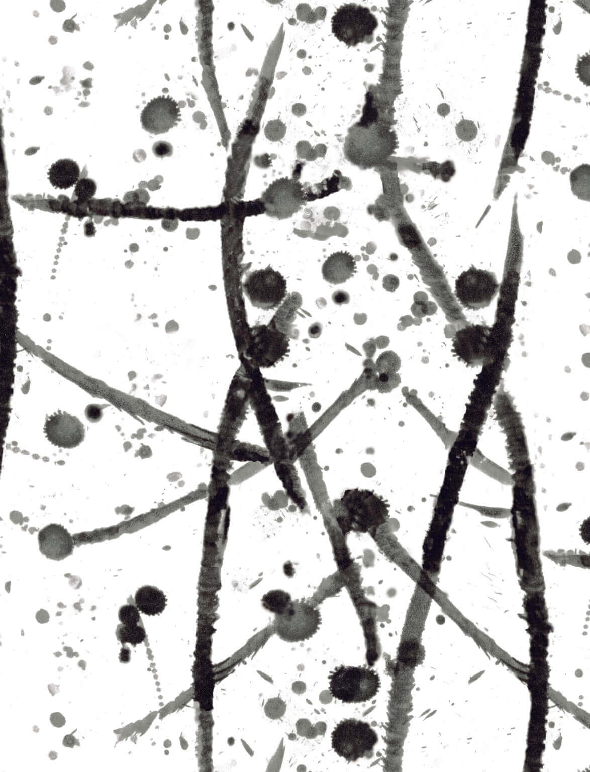 Leo Noir — Pierre Frey behang