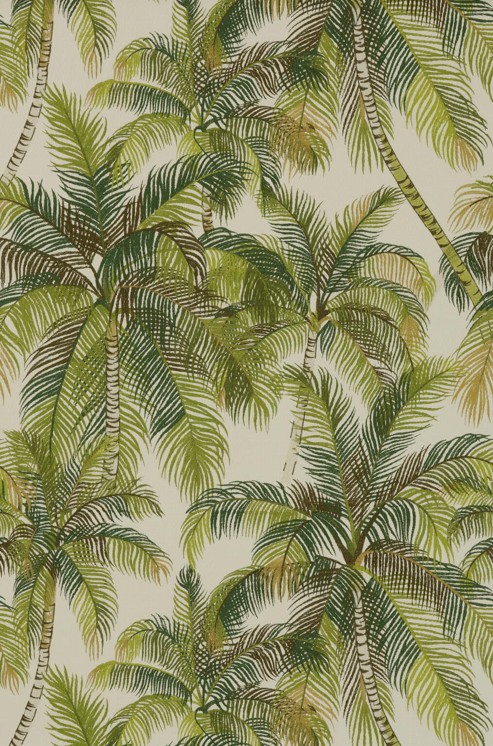 Tampa Palmeraie — Pierre Frey behang