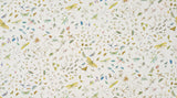 La Serre aux Papillons Printemps — Pierre Frey wallpaper