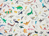 Encyclopedie Multicolore — Pierre Frey tapet