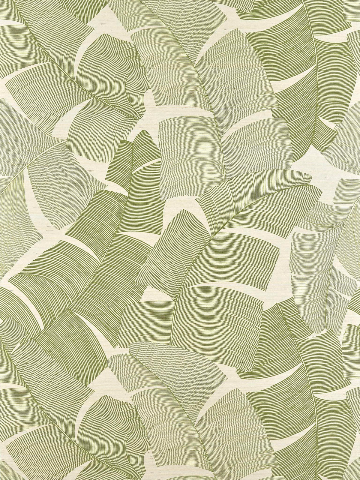 Tikehau Palmier — Pierre Frey behang
