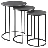 Erik Metal Nesting Tables, S/3 - undefined