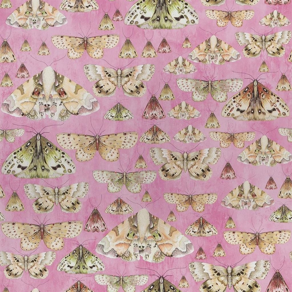 Issoria Rose — Designers Guild tapet