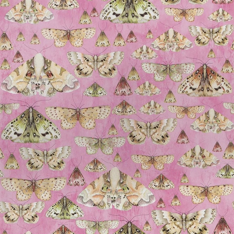 Issoria-tapetti | Designers Guild