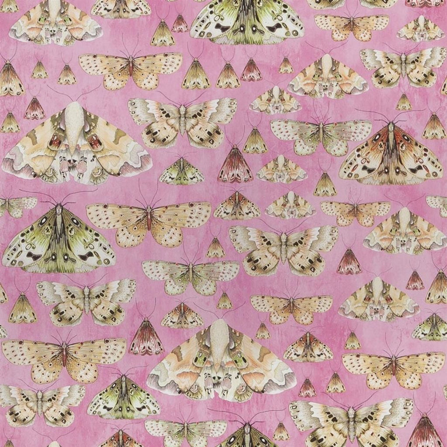 Issoria Tapet — Designers Guild