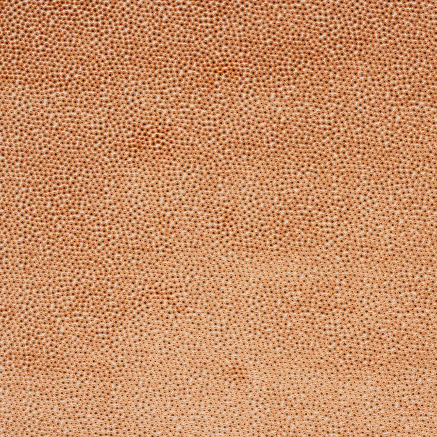 Darwin Orange — Jane Churchill tyg