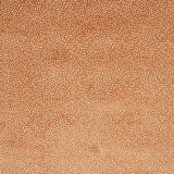 Darwin Orange — Jane Churchill tyg