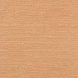 Zapphira Terracotta — Jane Churchill tapet
