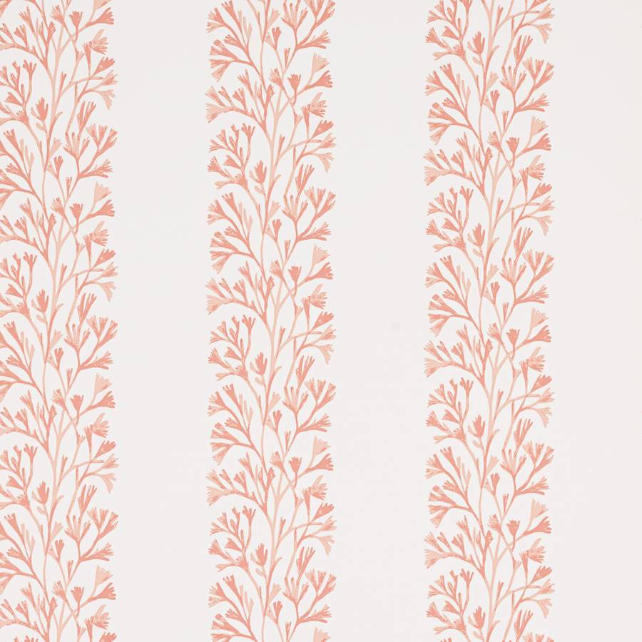 Dita Coral — Jane Churchill tapet