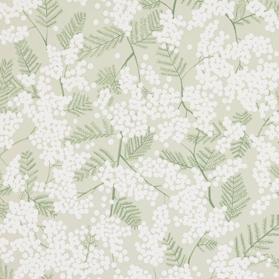 Mimosa Green — Jane Churchill tapet