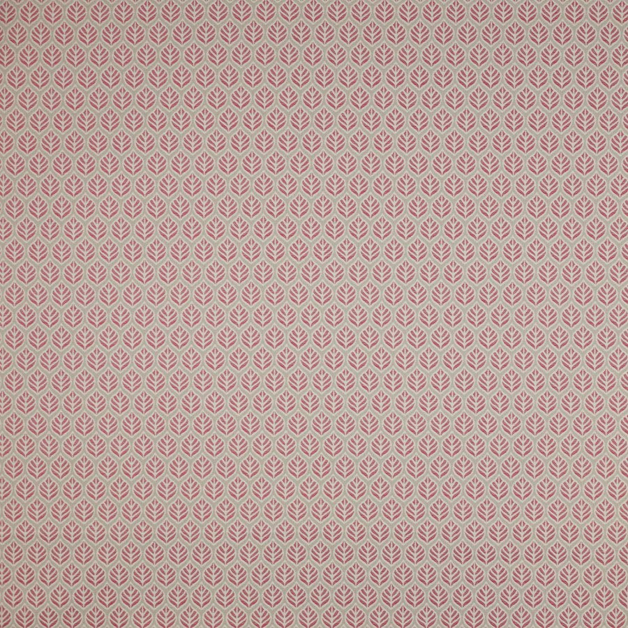 Bambury Tygprov — Jane Churchill Pink