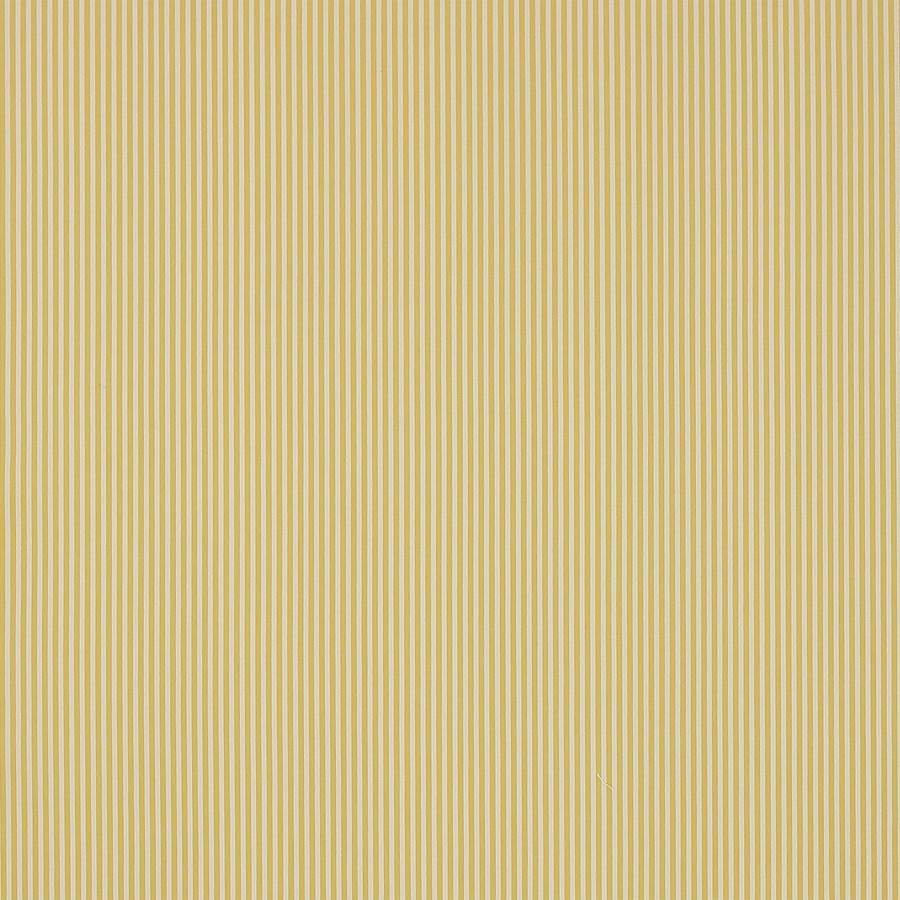 Arley Stripe Tygprov — Jane Churchill Yellow