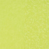 Kalpana Lime — Designers Guild tapet
