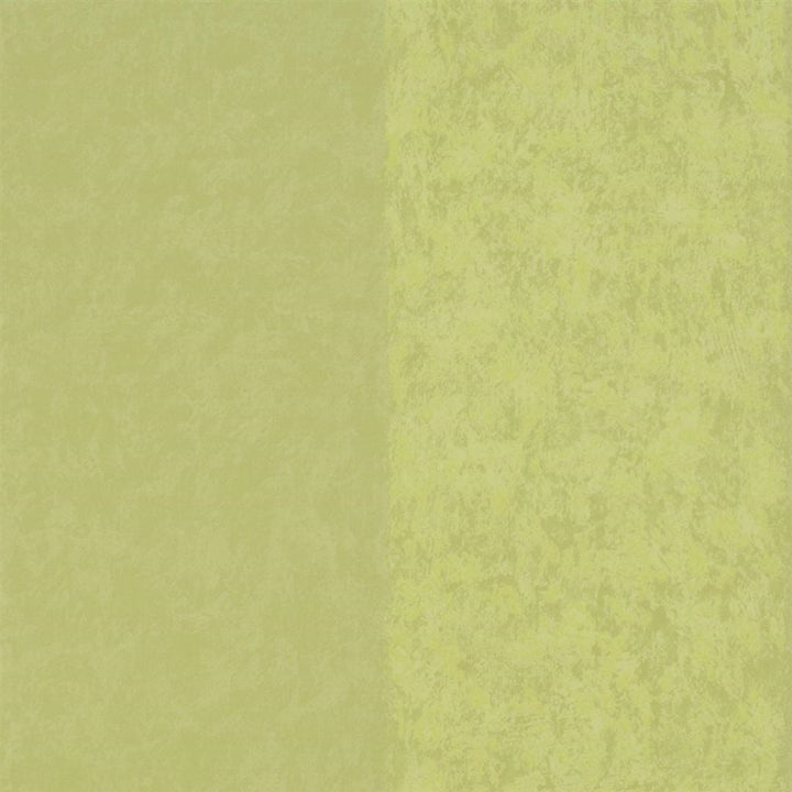 Kalpana Moss — Designers Guild tapet