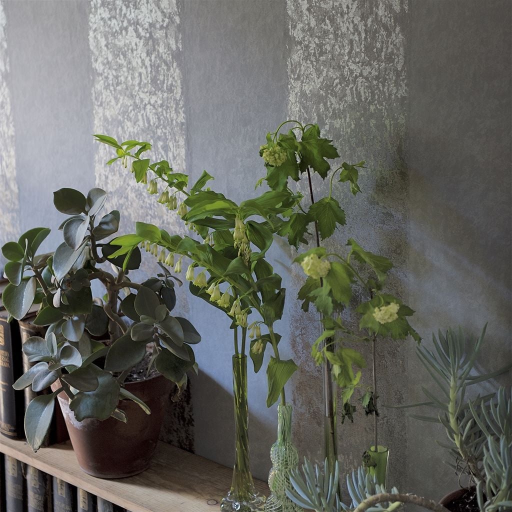 Kalpana Tapet — Designers Guild i miljö