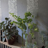 Kalpana Tapet — Designers Guild i miljö
