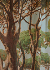 L’Esterel room setting — Pierre Frey fabric