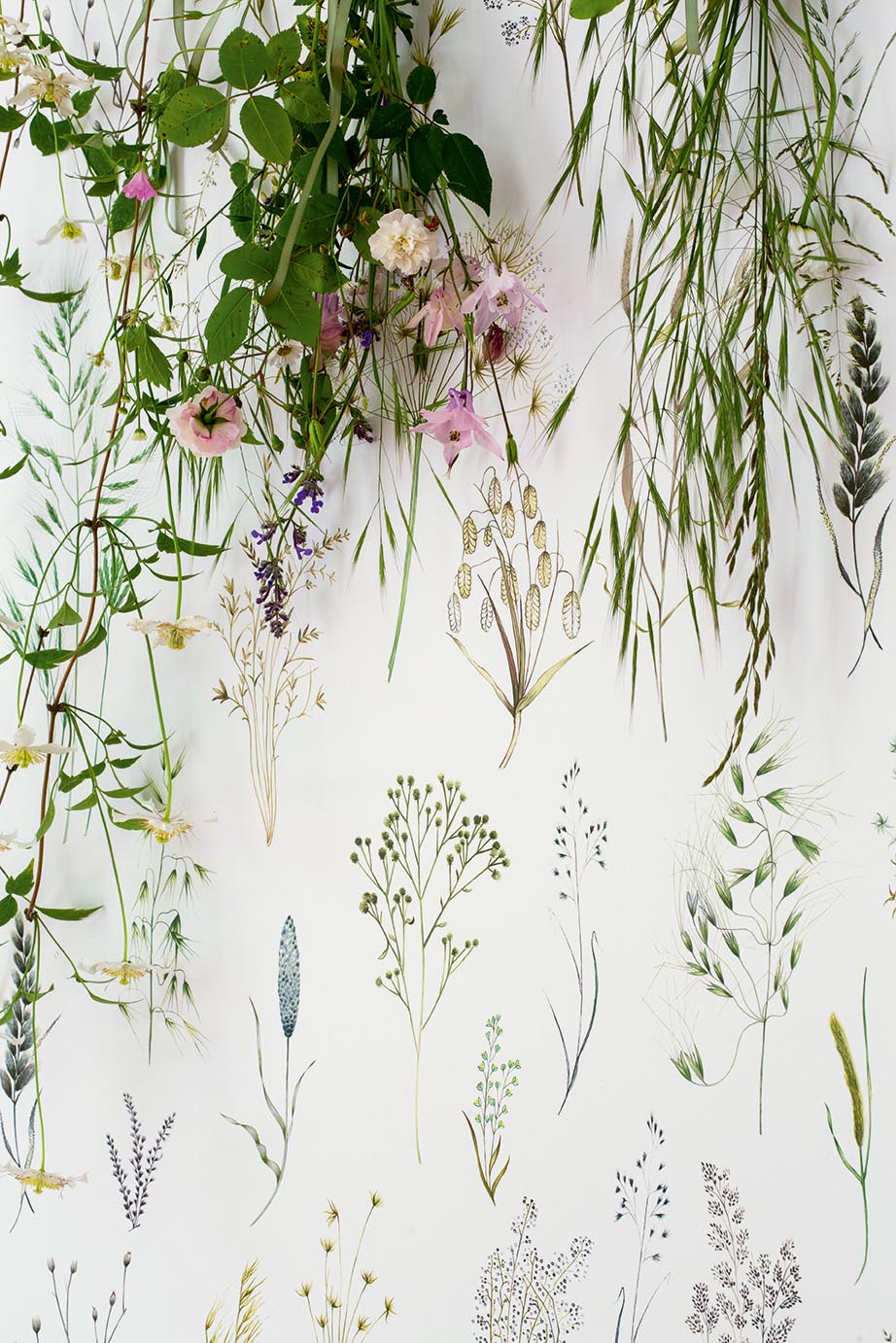 Les Graminees room setting — Pierre Frey wallpaper