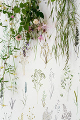 Les Graminees room setting — Pierre Frey wallpaper
