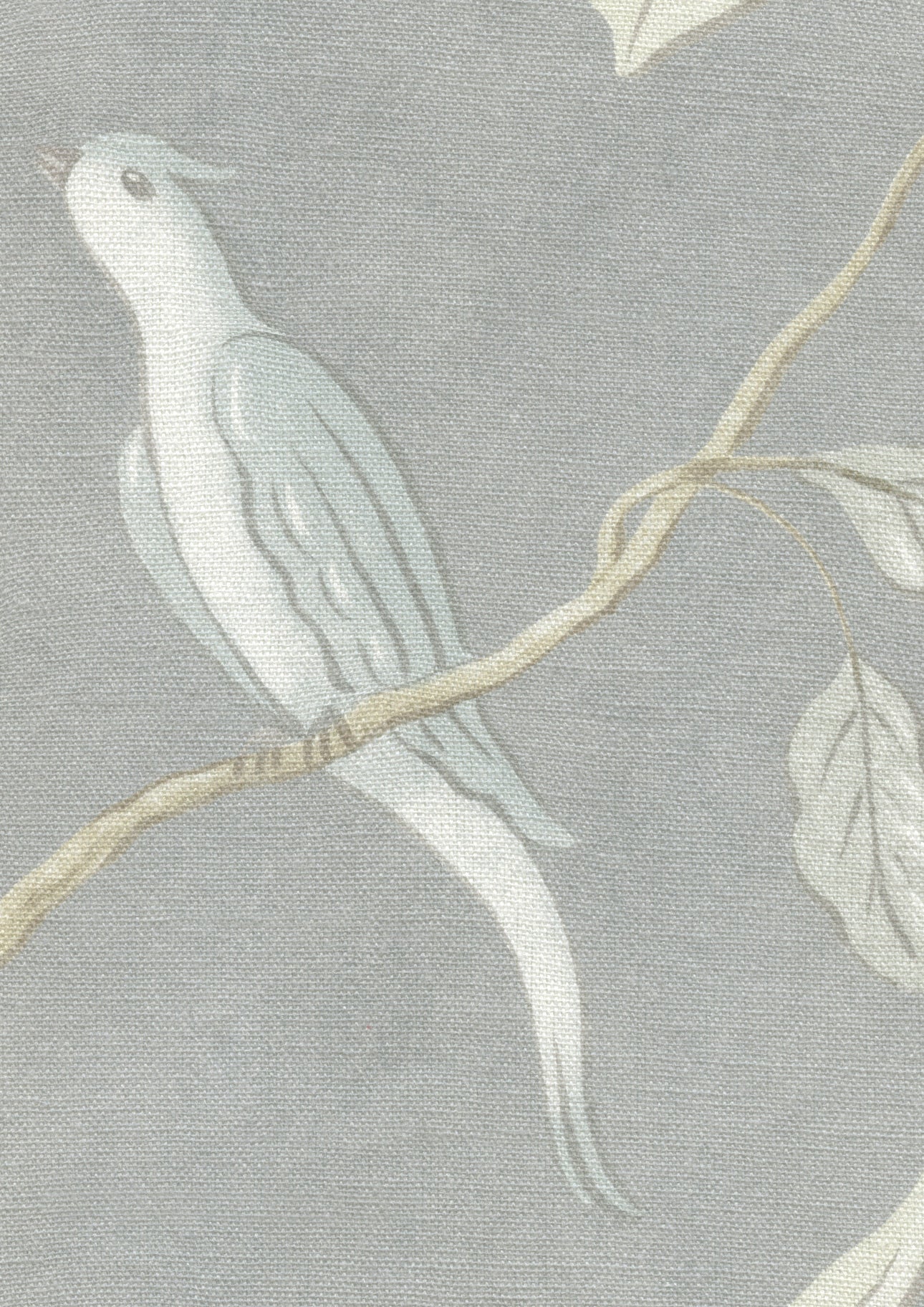 Adam's Eden Honey Dove — Lewis & Wood tyg