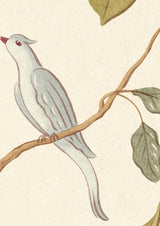 Adam's Eden Ivory — Lewis & Wood tapet