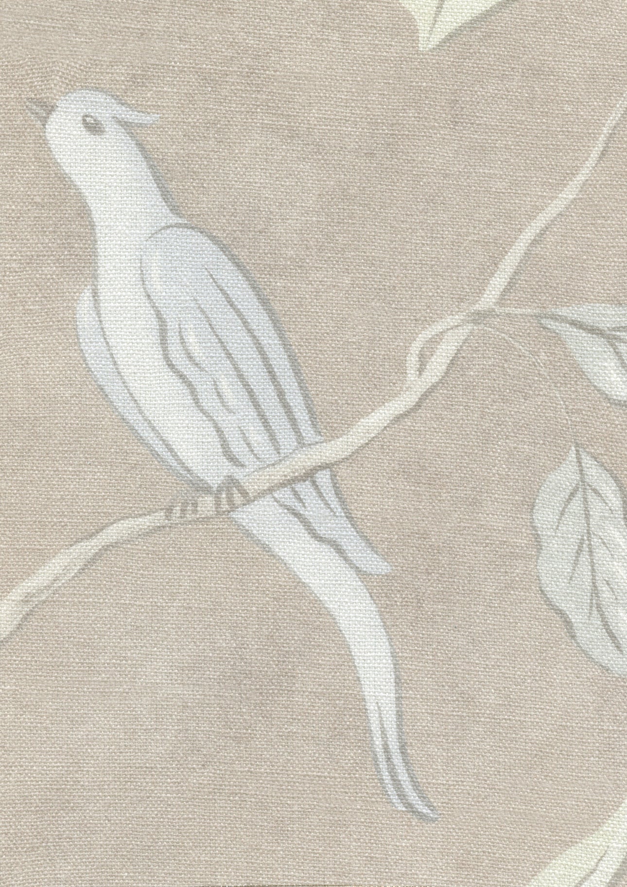 Adam's Eden Roan — Lewis & Wood tyg