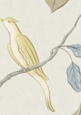 Adam's Eden Scandi — Lewis & Wood tapet