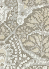 Alhambra LG 50 Tygprov Buff
