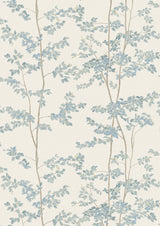 Beech Bluegrass — Lewis & Wood