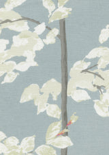 Beech Cirrus — Lewis & Wood tyg