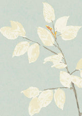 Beech Cirrus — Lewis & Wood tapet