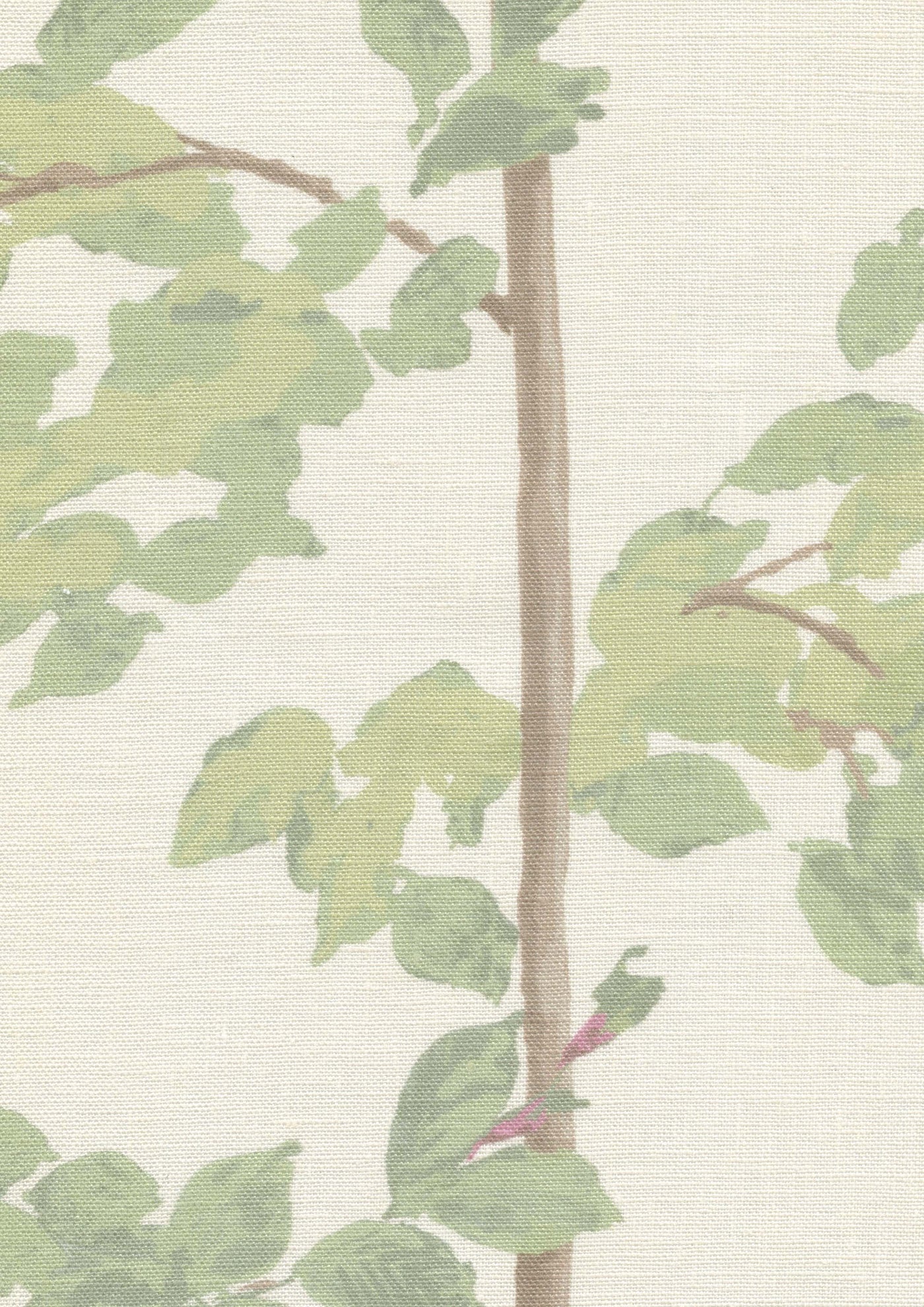 Beech Document Green — Lewis & Wood tyg