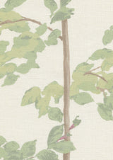 Beech Document Green — Lewis & Wood tyg